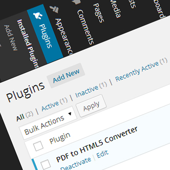Automatic Theme and Plugin Updates