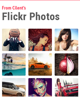 Flickr Widget